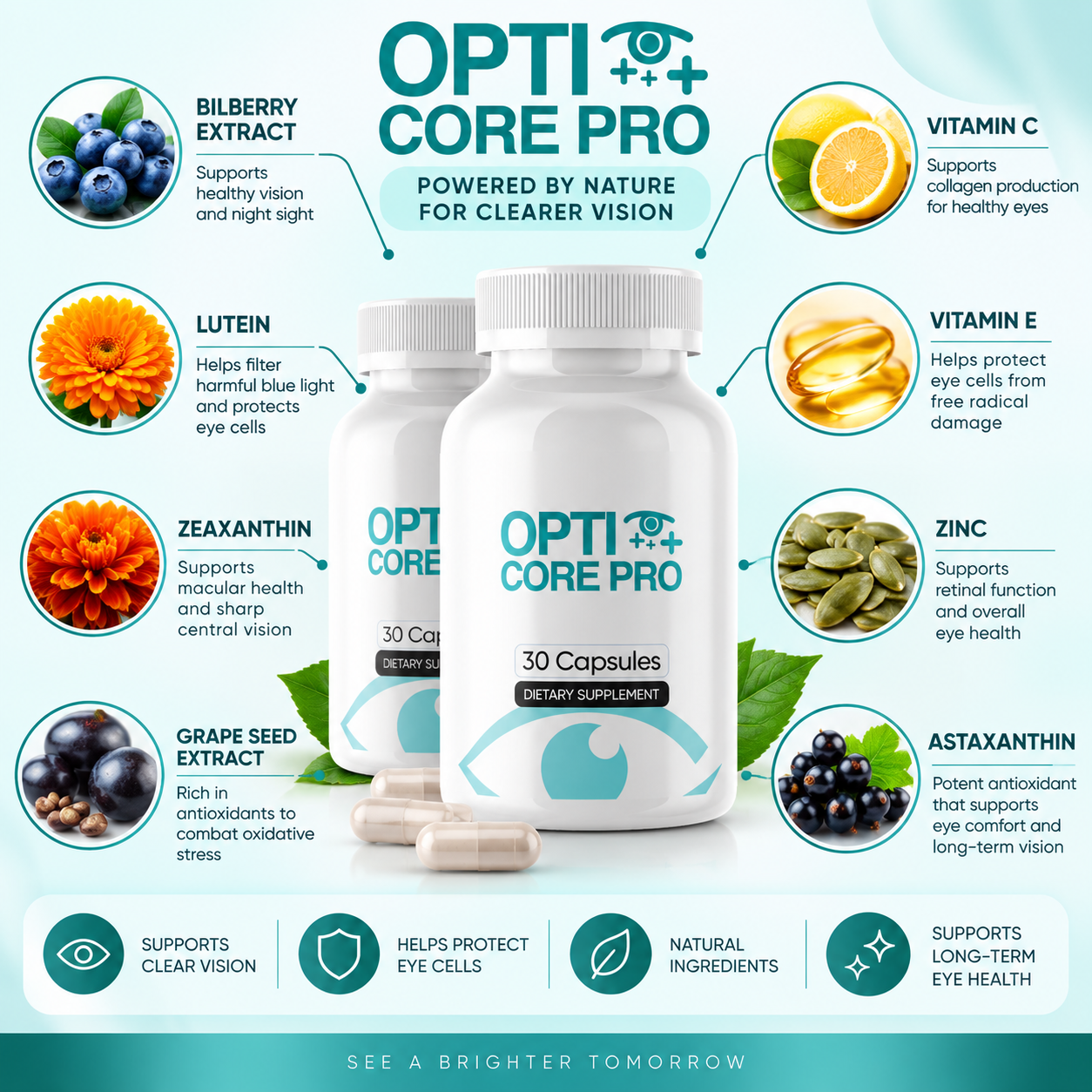 OptiCore Pro ingredients — Bilberry, Lutein, Zeaxanthin, Grape Seed, Vitamin C, Vitamin E, Zinc, Astaxanthin